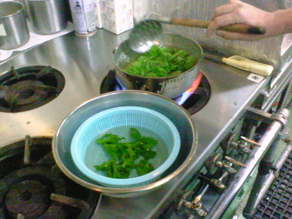 菜の花♪